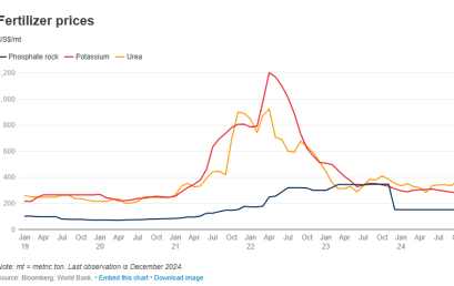 Giá phân bón ổn định trong bối cảnh chi phí đầu vào giảm và chuyển dịch thương mại 2024