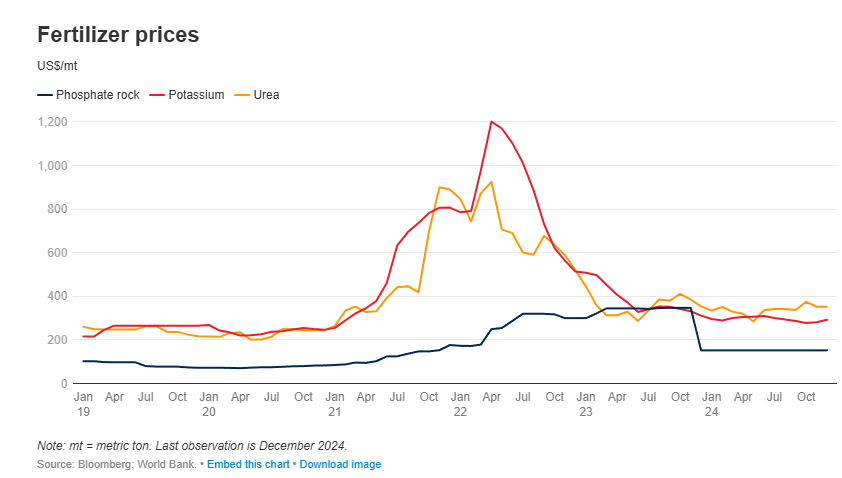 Giá phân bón ổn định trong bối cảnh chi phí đầu vào giảm và chuyển dịch thương mại 2024