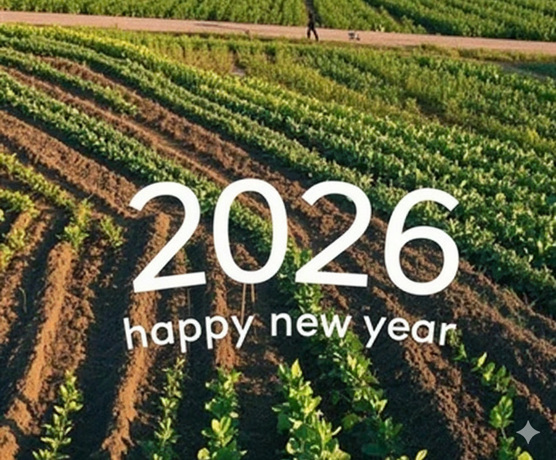 CHÚC MỪNG NĂM MỚI 2026