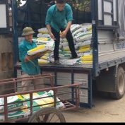 Triển vọng về phân bón phốt pho trong năm 2026 có vẻ vô cùng phức tạp